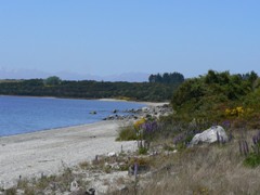 Frasers Beach, Lake Manapouri